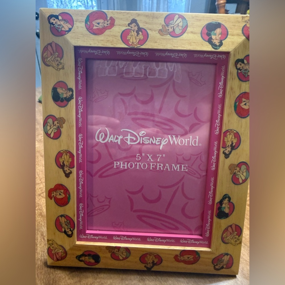 Disney Princess Wooden Frame